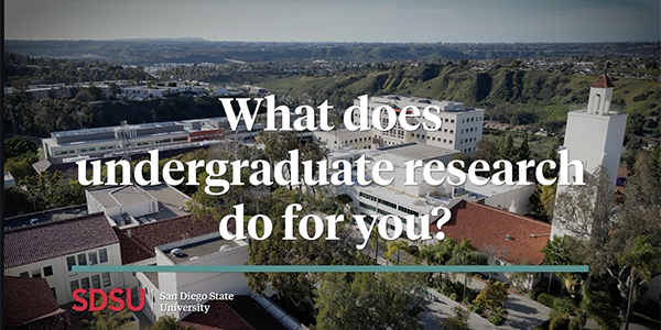What does undergraduate resaerch do for you?