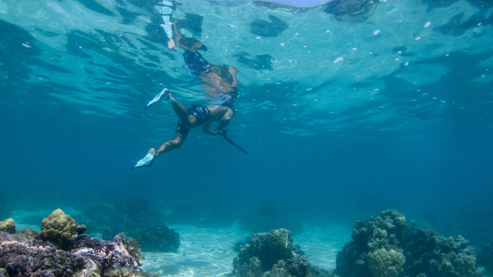 free diver under water