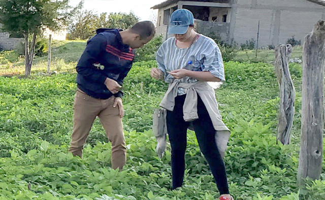 students working in field