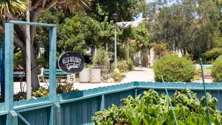 Hello Walkway Garden is one of many sustainability gardens on campus.