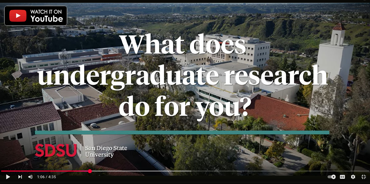 What does undergraduate research do for you?